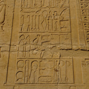surgical instruments scene - Egypt Vacation Tours