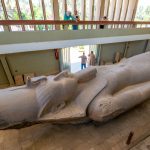 Gallery Thumbnail 19