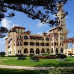 Gallery Thumbnail 21