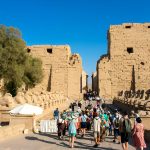 Gallery Thumbnail 10