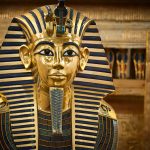 Gallery Thumbnail 11