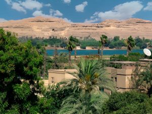 Day Tour to Al Minya