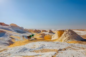 Western Desert Oases Safari 4 Days 3 Nights