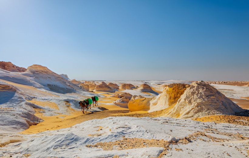 Western Desert Oases Safari 4 Days 3 Nights