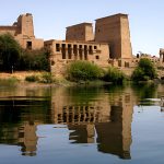 Gallery Thumbnail 11