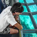 Gallery Thumbnail 26