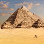 Gallery Thumbnail 13