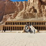 Gallery Thumbnail 13