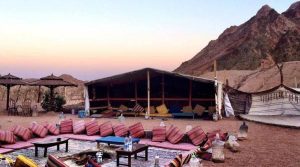 Sunset Camel Ride at Giza Plateau with Bedouin Dinner