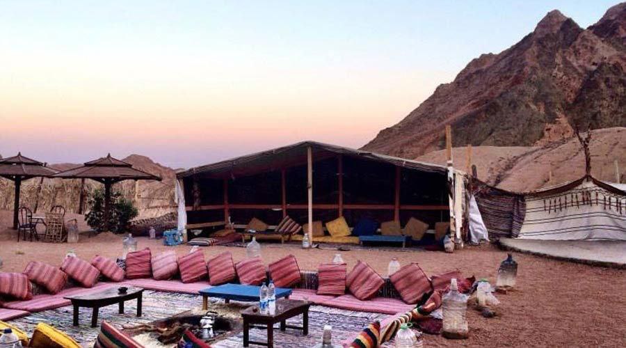 Sunset Camel Ride at Giza Plateau with Bedouin Dinner