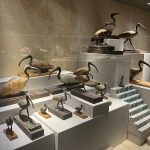 Gallery Thumbnail 25